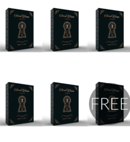 SECRET ROOM PLEASURE KIT BRONZE LEVEL 1 PACK 5+1 FREE