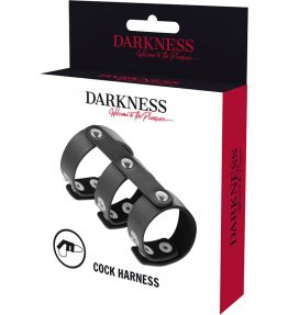 DARKNESS REGOLATORE TRIPLO ANELLO PER PENE E TESTICOLI