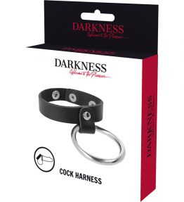 DARKNESS METAL RING FOR THE PENIS AND TESTICLES